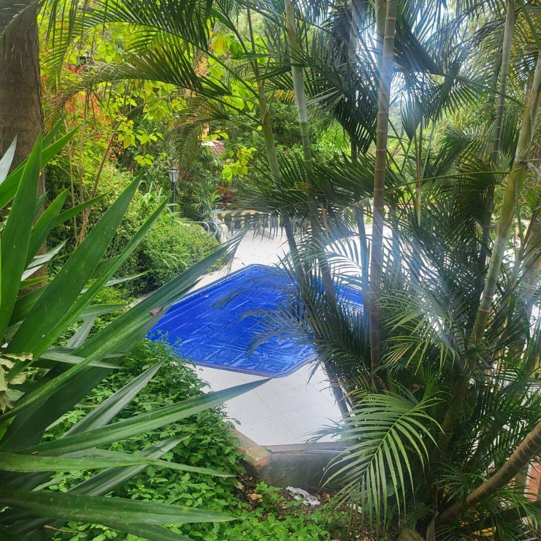 Casa, 4 quartos - Foto 7