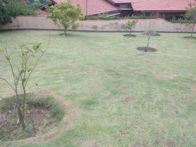 Terreno, 2640 m² - Foto 3