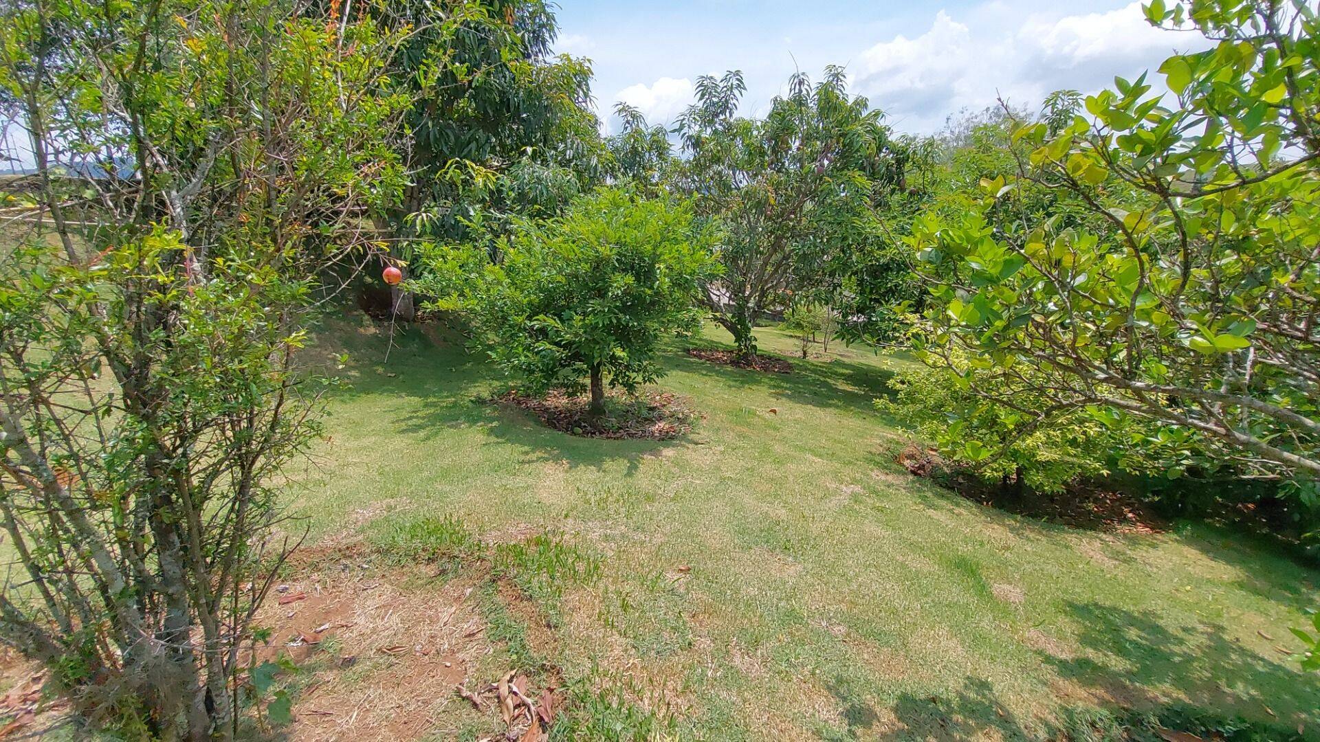 Chácara, 4 quartos, 1851 m² - Foto 13