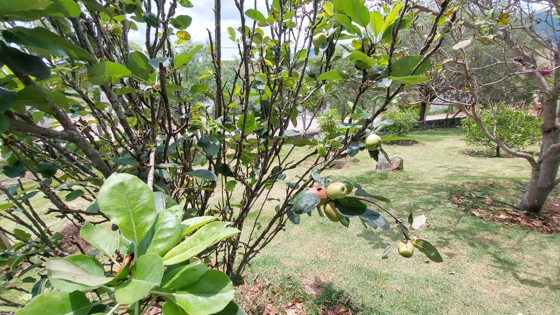 Chácara, 4 quartos, 1851 m² - Foto 68