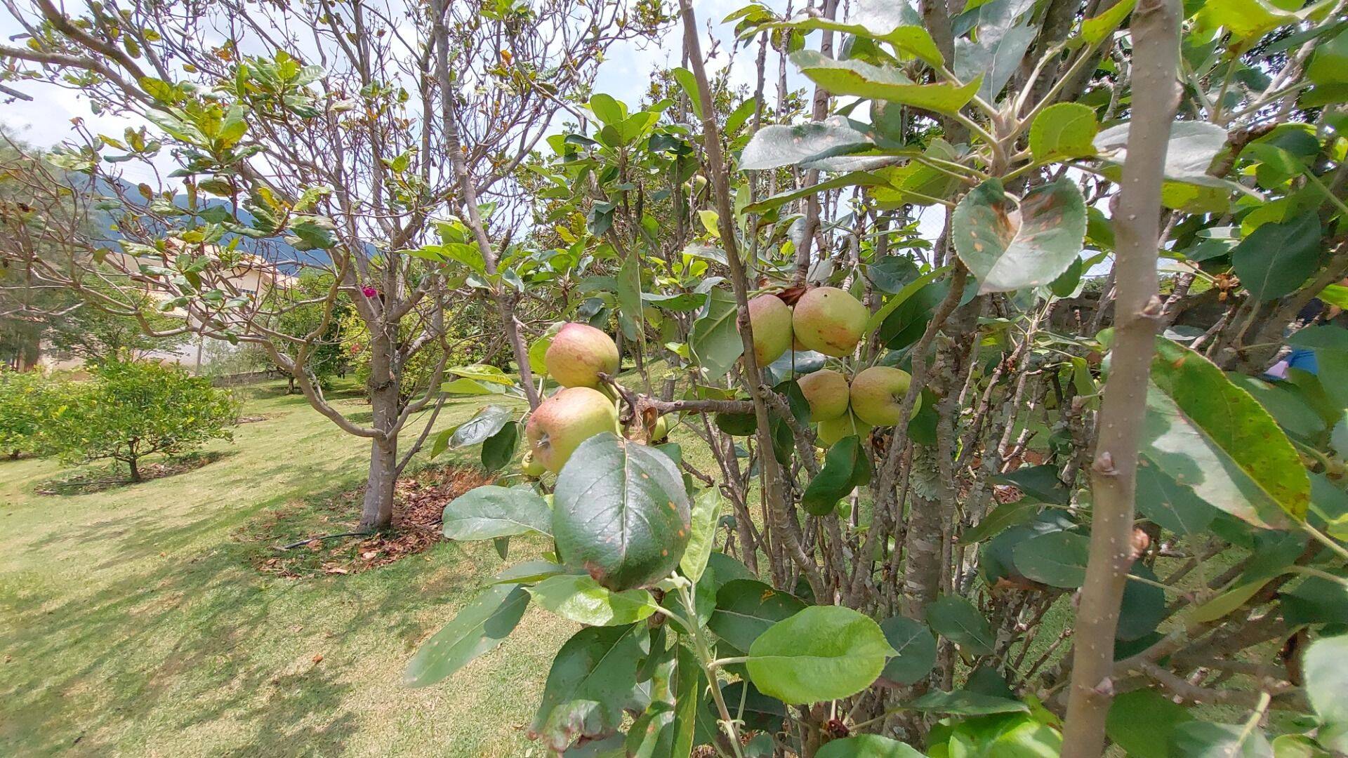 Chácara, 4 quartos, 1851 m² - Foto 69