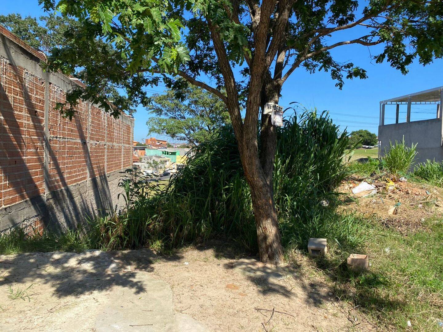 Terreno, 250 m² - Foto 2