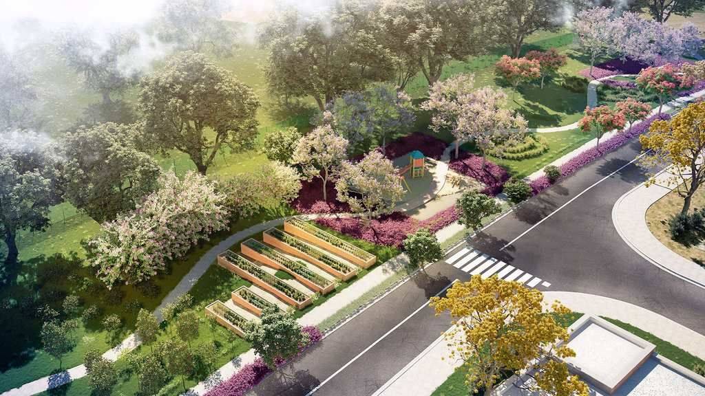 Terreno, 250 m² - Foto 3