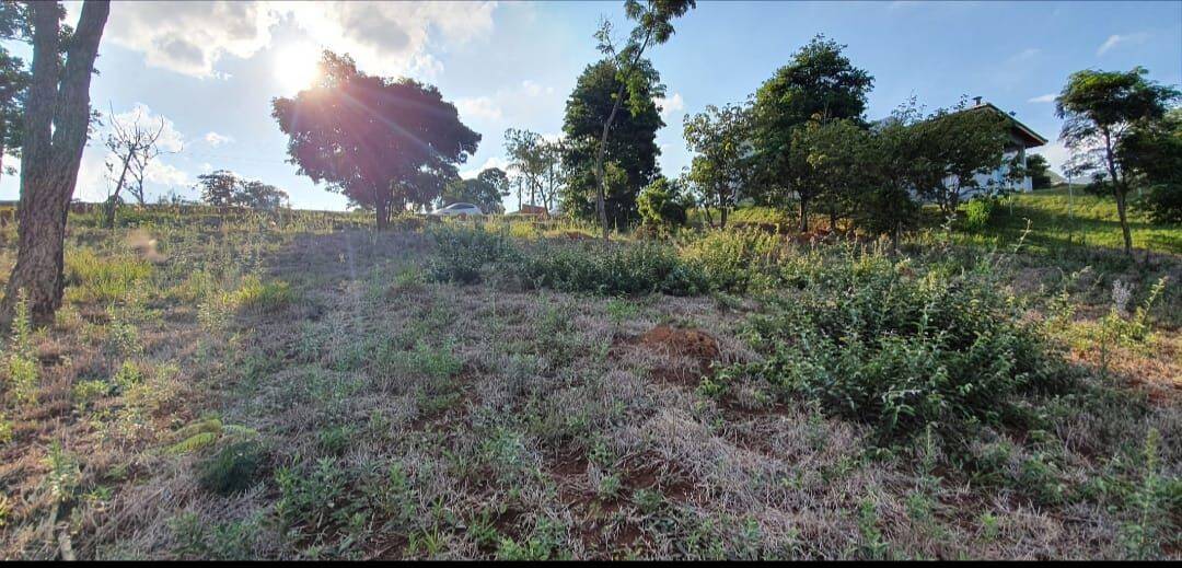 Terreno, 1000 m² - Foto 4