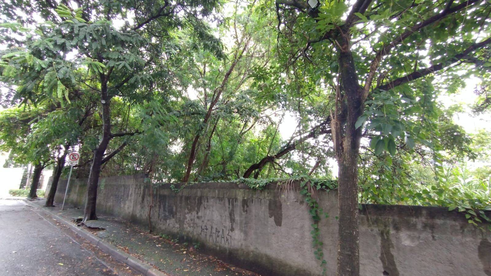 Terreno, 737 m² - Foto 4