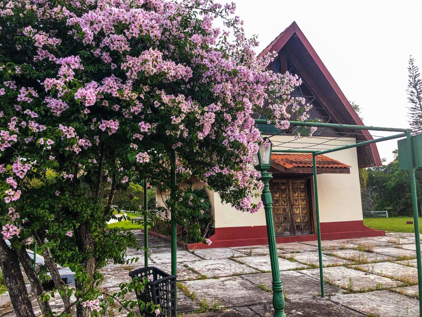 Prédio Inteiro, 3000 m² - Foto 18