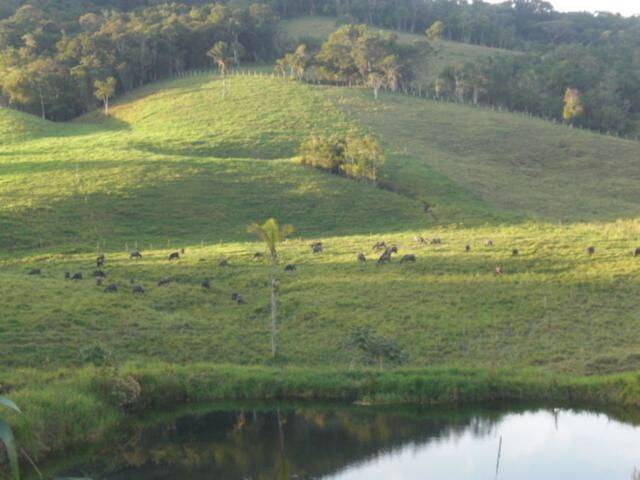 Prédio Inteiro - Foto 11