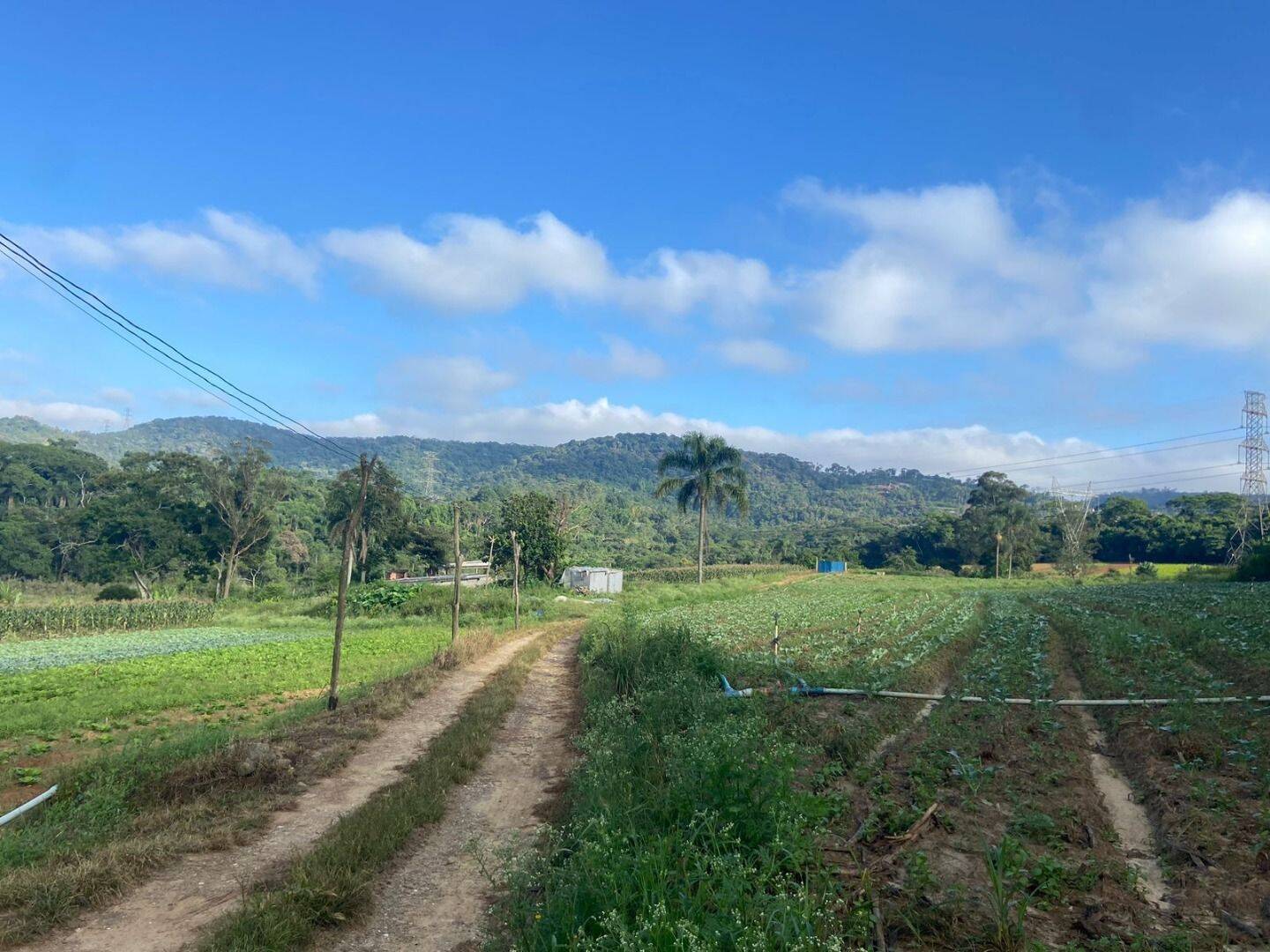 Prédio Inteiro - Foto 13