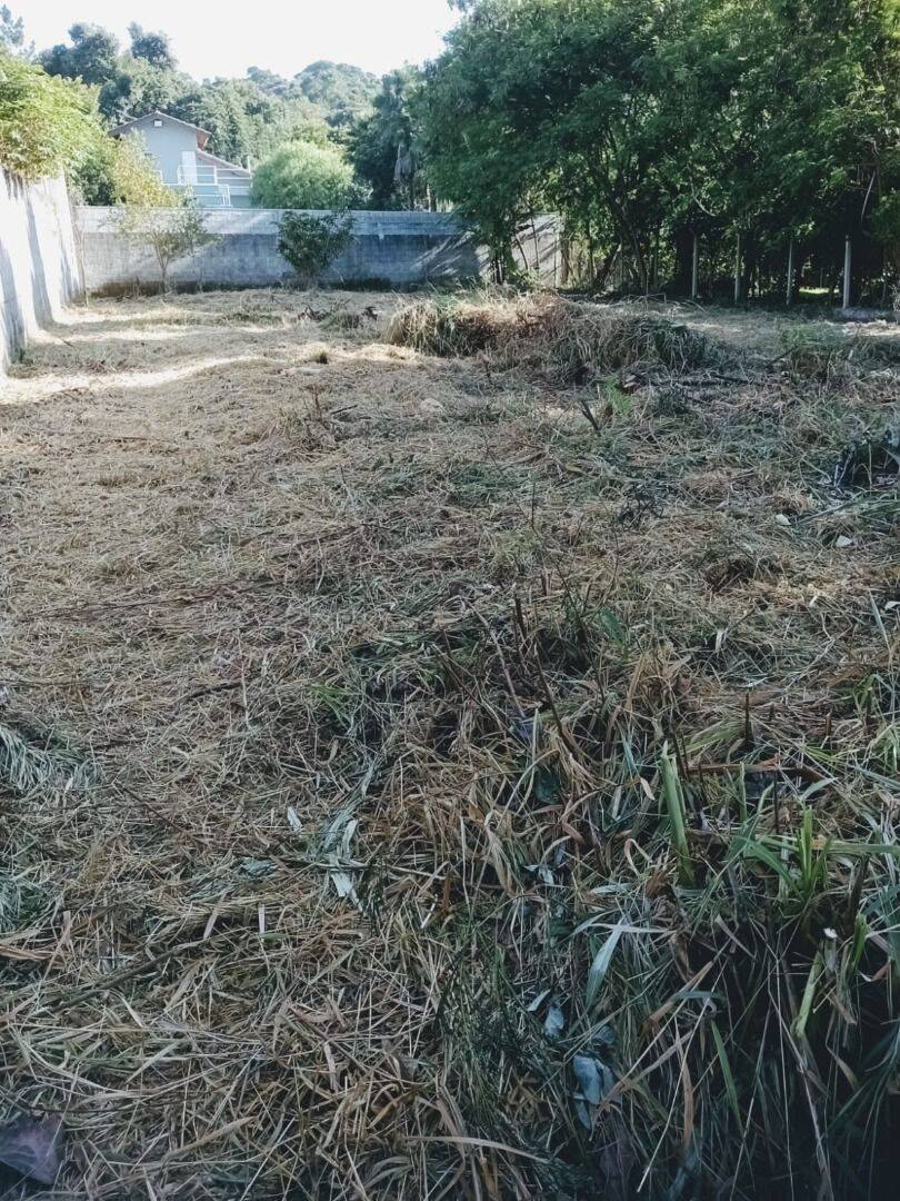 Terreno, 769 m² - Foto 3