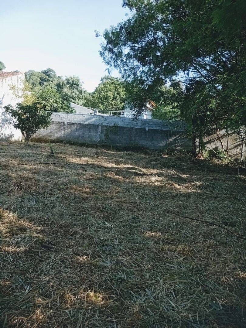 Terreno, 769 m² - Foto 7