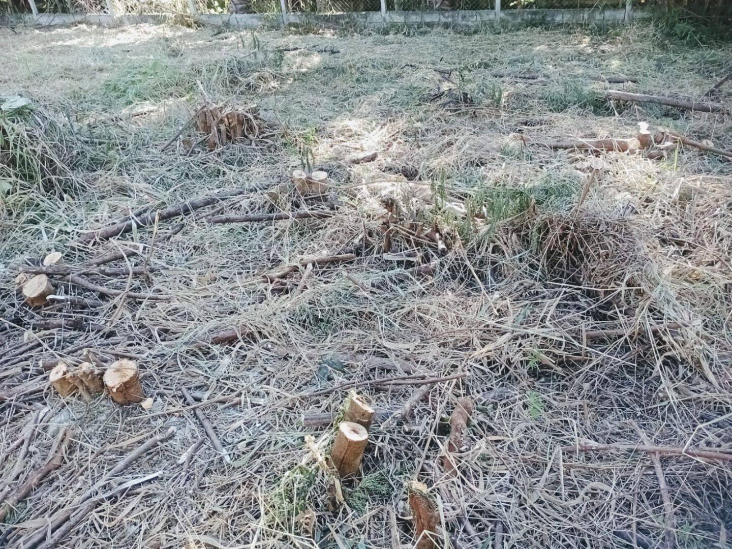 Terreno, 769 m² - Foto 9
