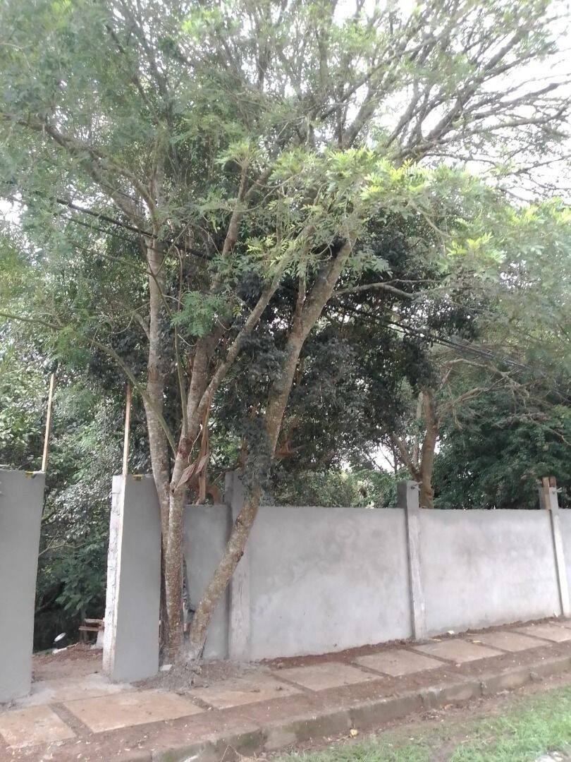 Terreno, 1500 m² - Foto 4