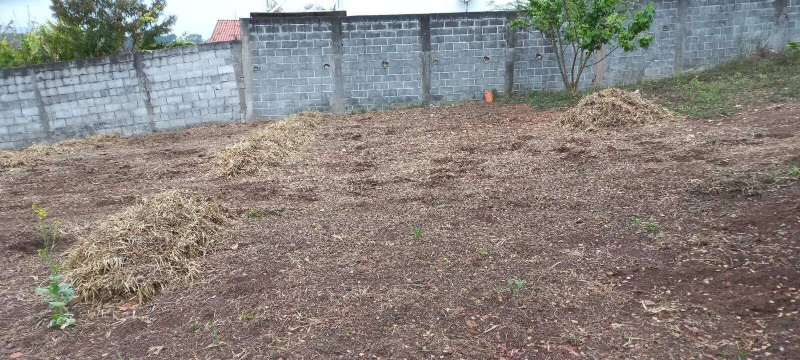 Terreno, 2000 m² - Foto 3