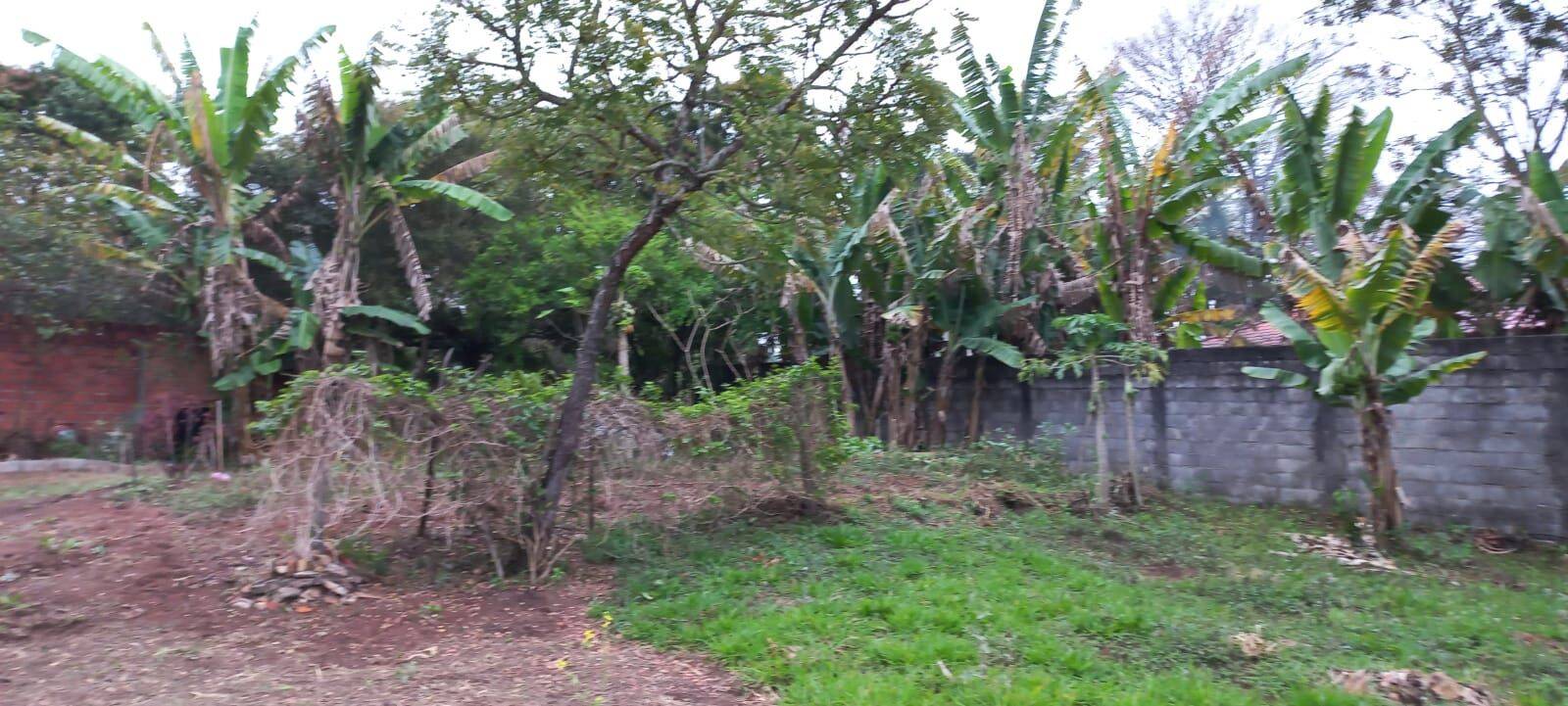 Terreno, 2000 m² - Foto 4