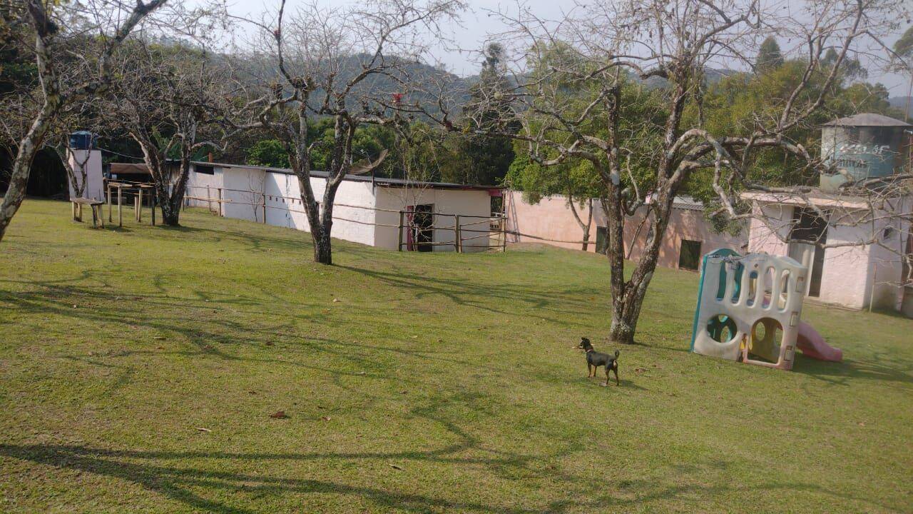 Terreno, 15 hectares - Foto 3