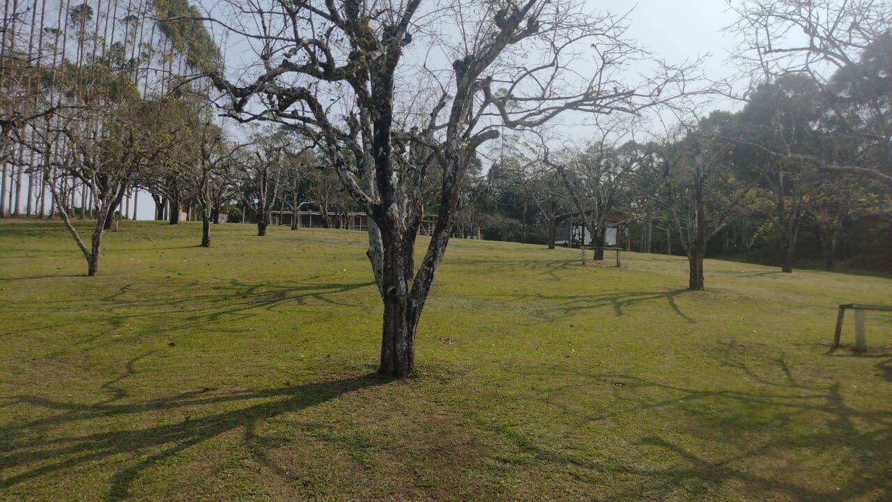 Terreno, 15 hectares - Foto 4