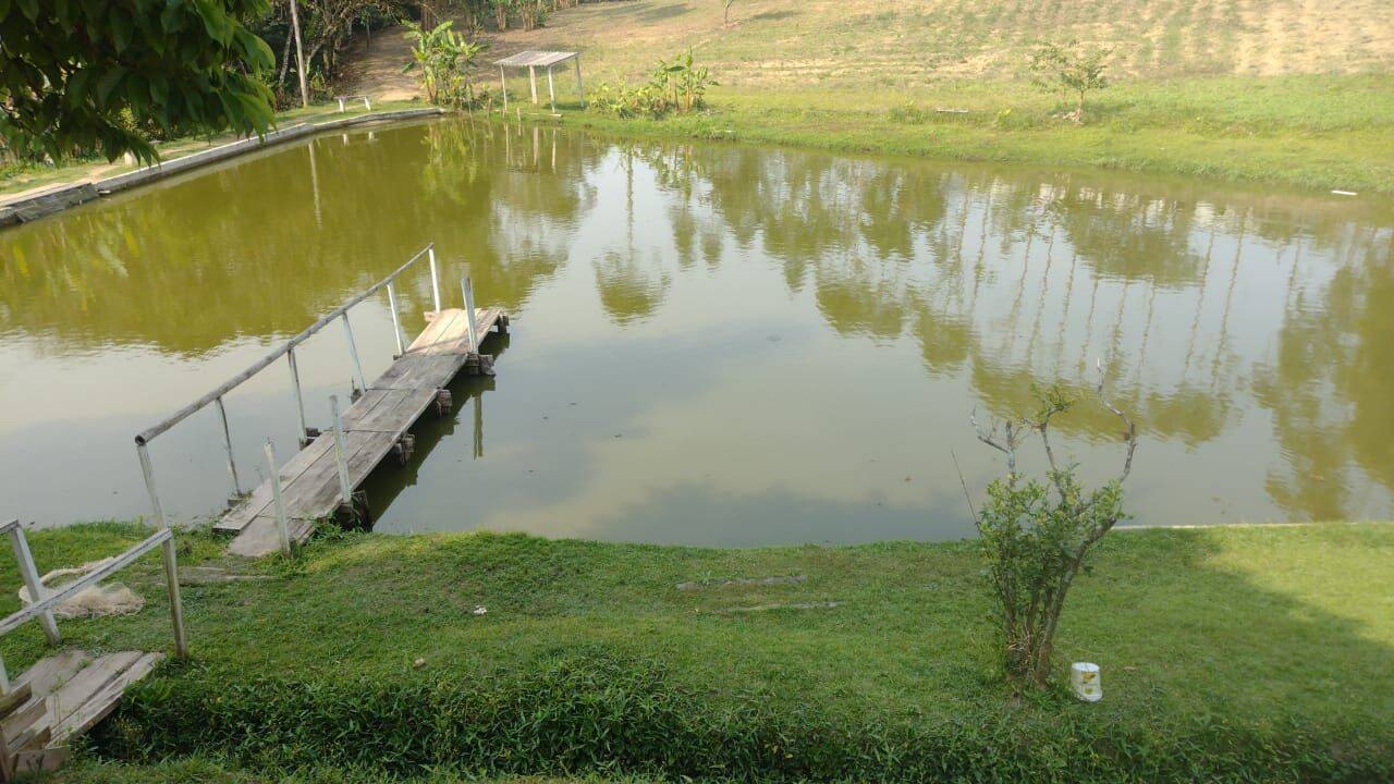Terreno, 15 hectares - Foto 7