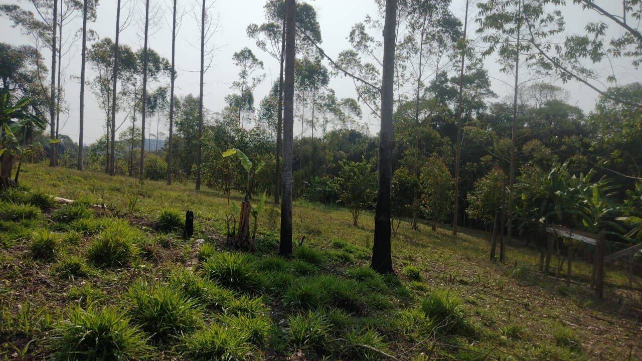 Terreno, 15 hectares - Foto 18