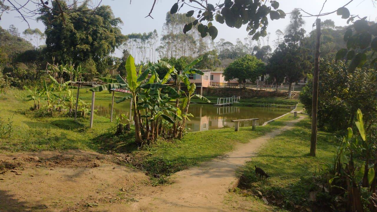 Terreno, 15 hectares - Foto 19