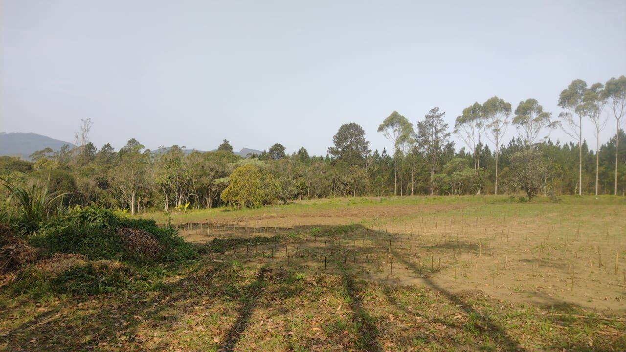 Terreno, 15 hectares - Foto 37