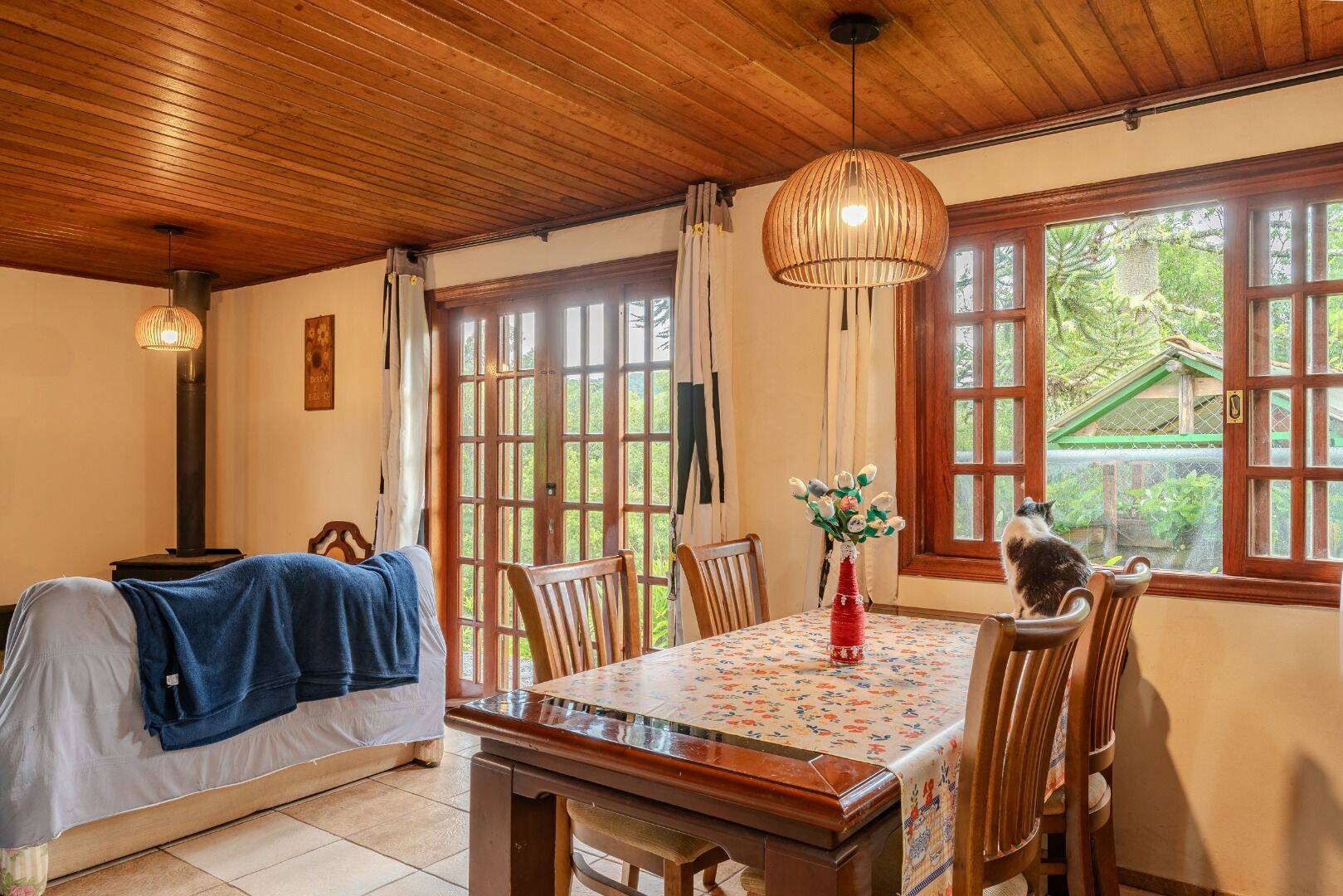 Chácara, 4 quartos, 5850 m² - Foto 11