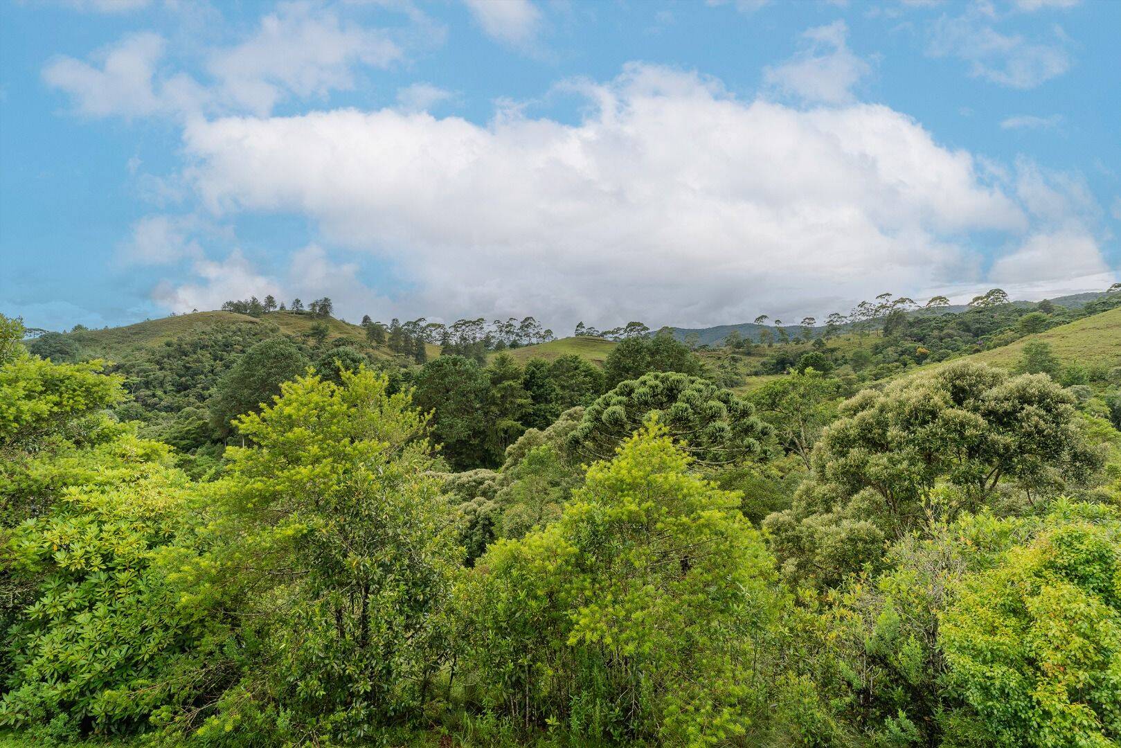 Chácara, 4 quartos, 5850 m² - Foto 36
