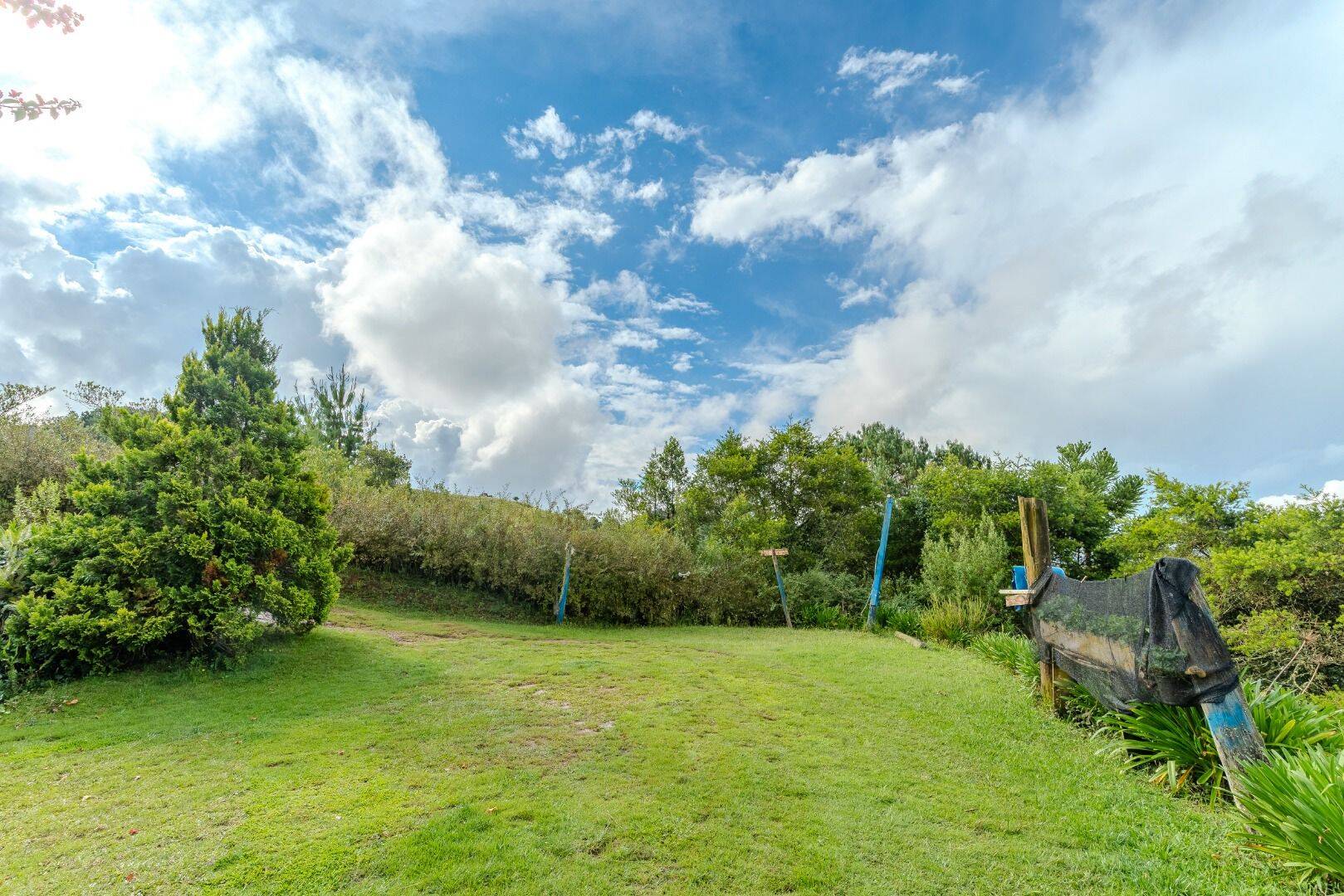 Chácara, 4 quartos, 5850 m² - Foto 41