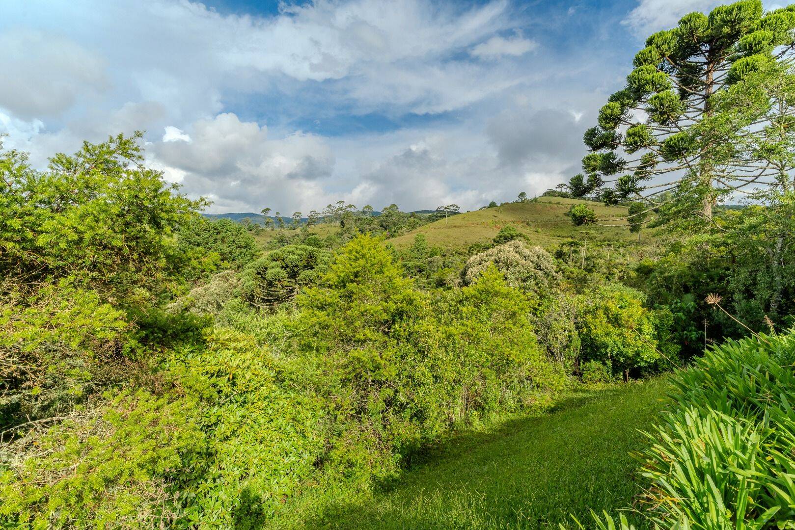 Chácara, 4 quartos, 5850 m² - Foto 43