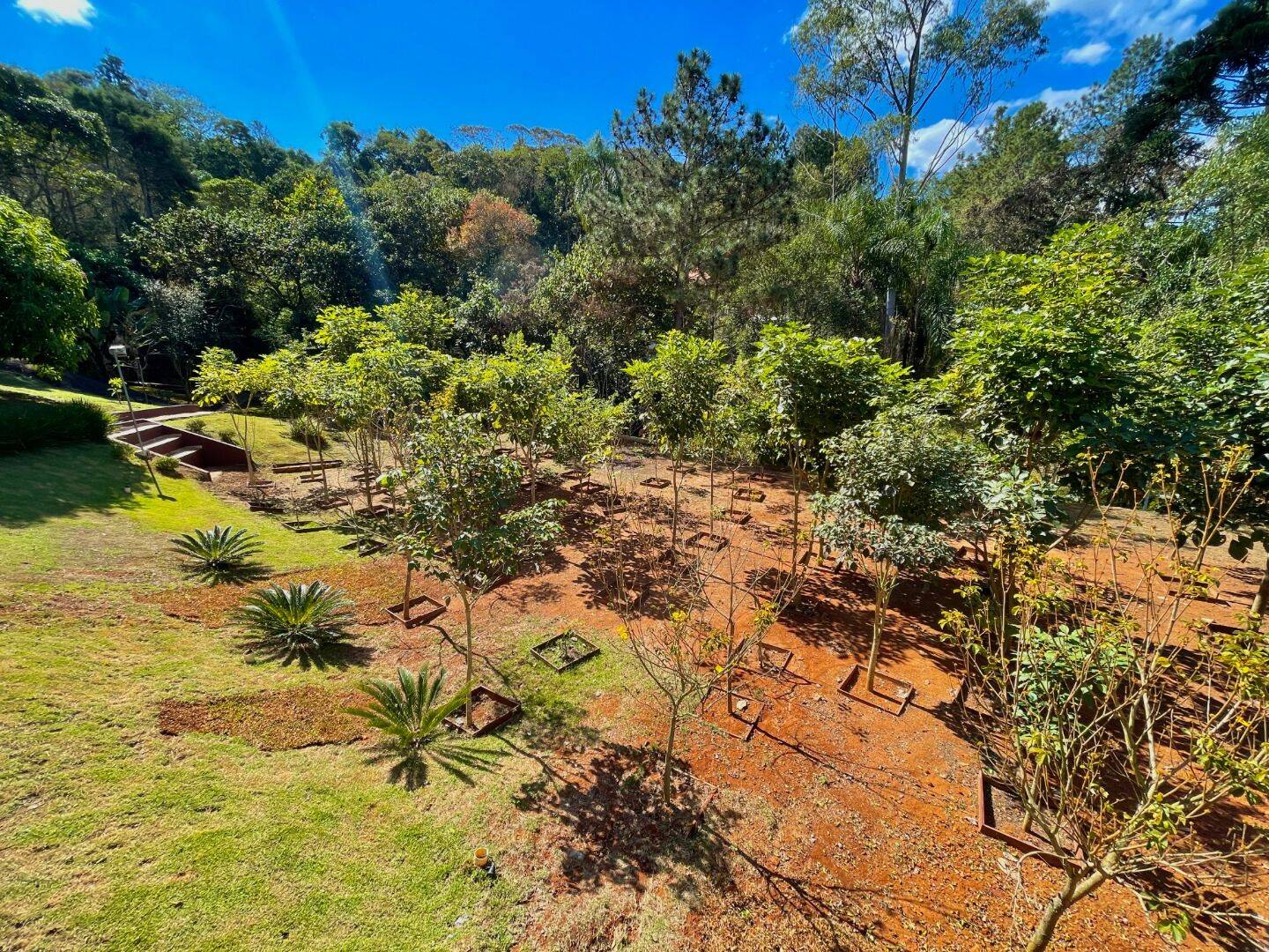 Chácara, 3 quartos, 3000 m² - Foto 13