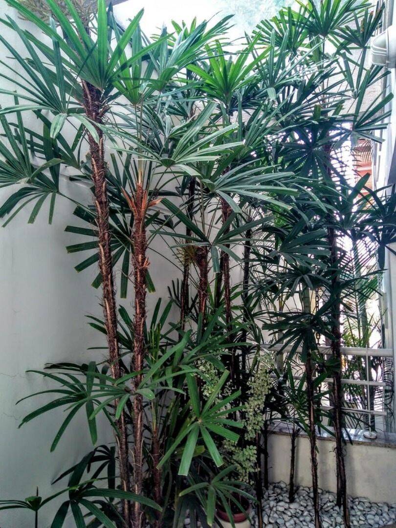 Sobrado, 4 quartos, 257 m² - Foto 31