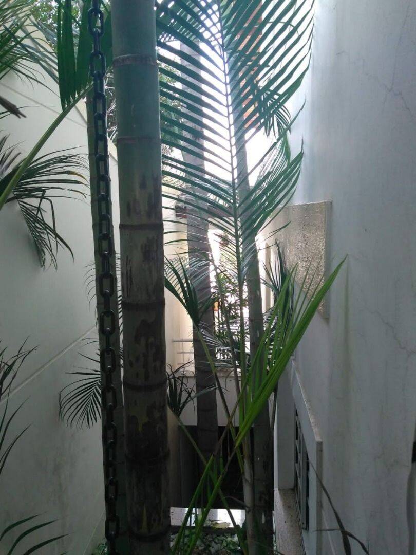 Sobrado, 4 quartos, 257 m² - Foto 32