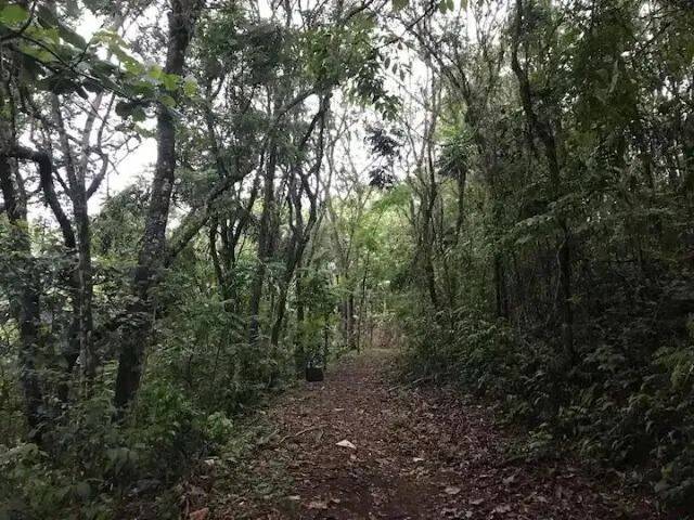 Chácara, 6 quartos, 1 hectares - Foto 13
