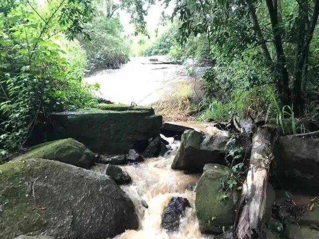 Chácara, 6 quartos, 1 hectares - Foto 14