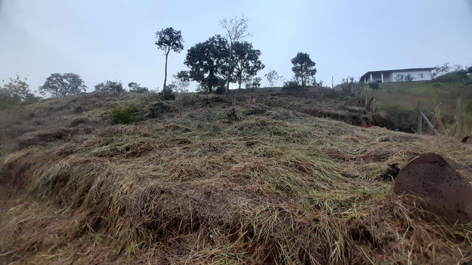 Terreno, 2060 m² - Foto 6