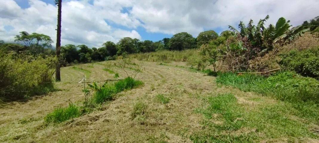 Sítio, 2 quartos, 2 hectares - Foto 6