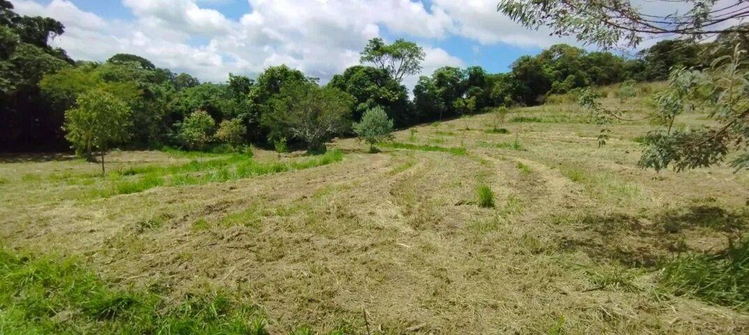 Sítio, 2 quartos, 2 hectares - Foto 7