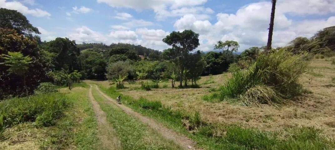 Sítio, 2 quartos, 2 hectares - Foto 8