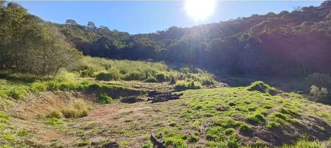 Sítio, 2 quartos, 2 hectares - Foto 10