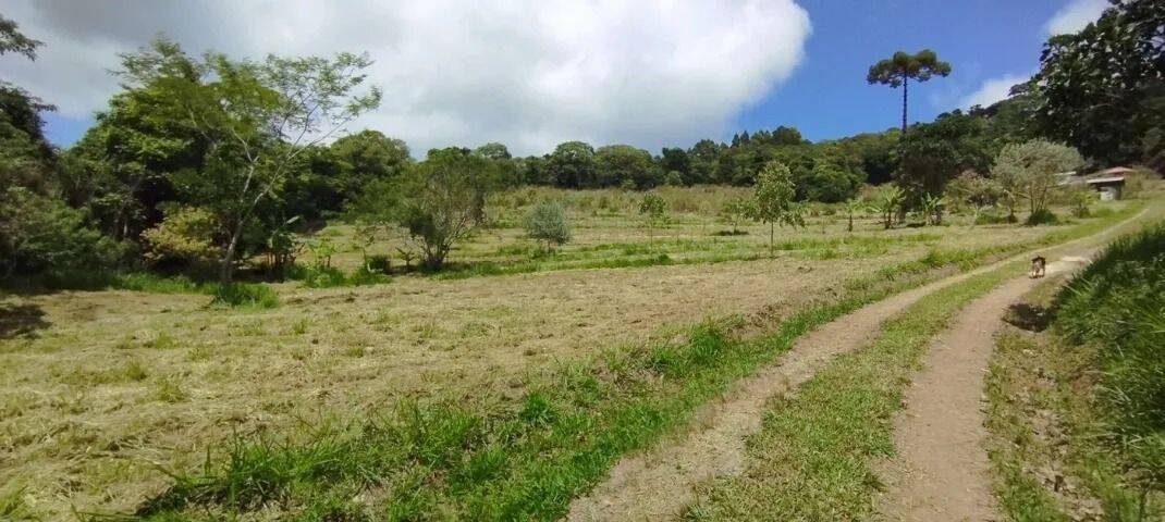Sítio, 2 quartos, 2 hectares - Foto 12