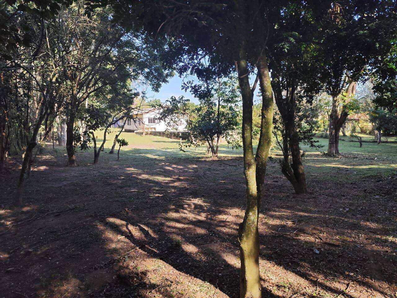 Chácara, 3 quartos, 3700 m² - Foto 12