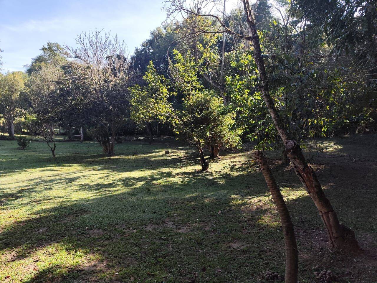 Chácara, 3 quartos, 3700 m² - Foto 19