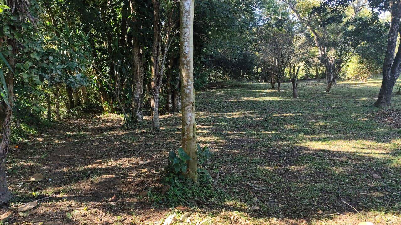 Chácara, 3 quartos, 3700 m² - Foto 20