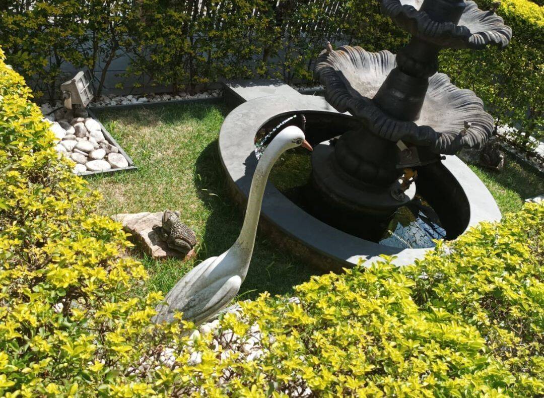 Casa, 3 quartos, 375 m² - Foto 2