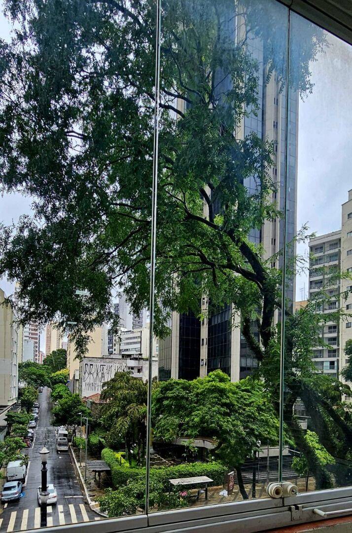 Apartamento, 3 quartos, 240 m² - Foto 26