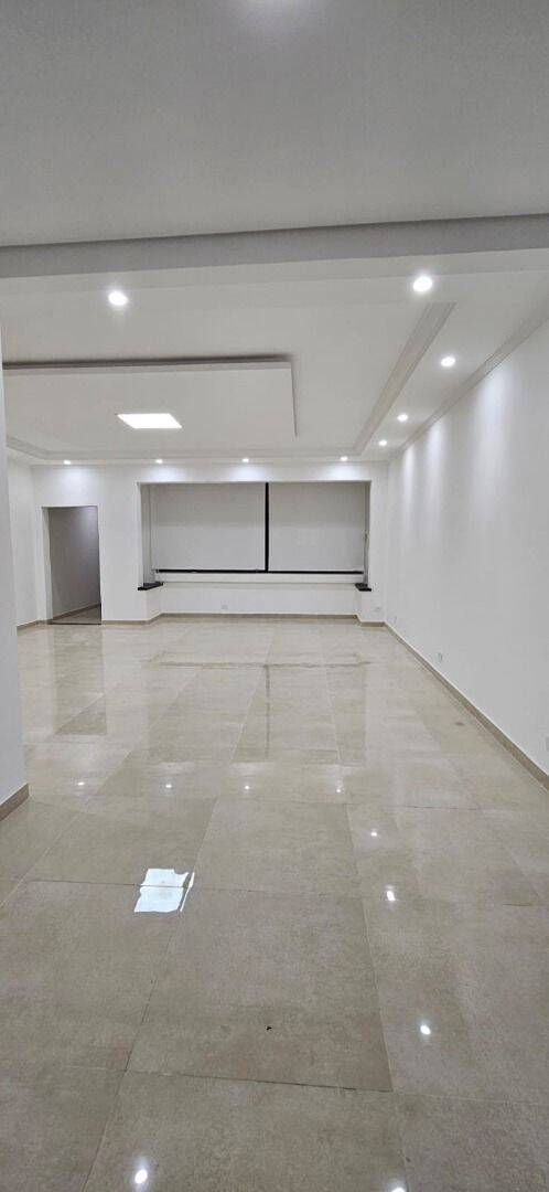 Apartamento, 3 quartos, 240 m² - Foto 29