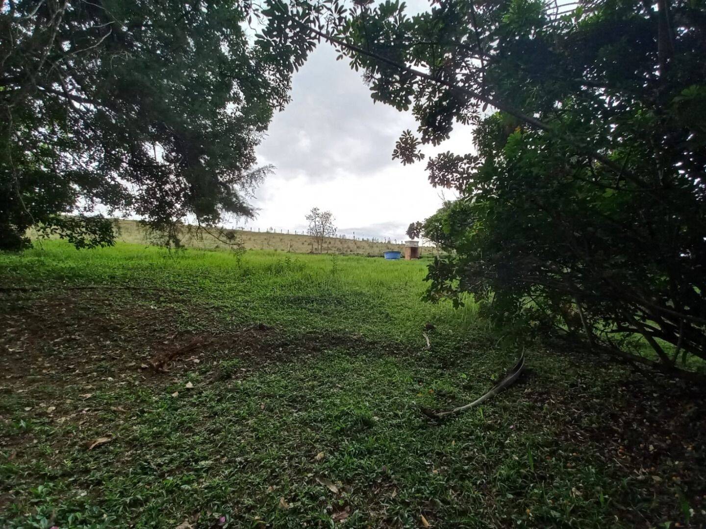 Prédio Inteiro - Foto 2