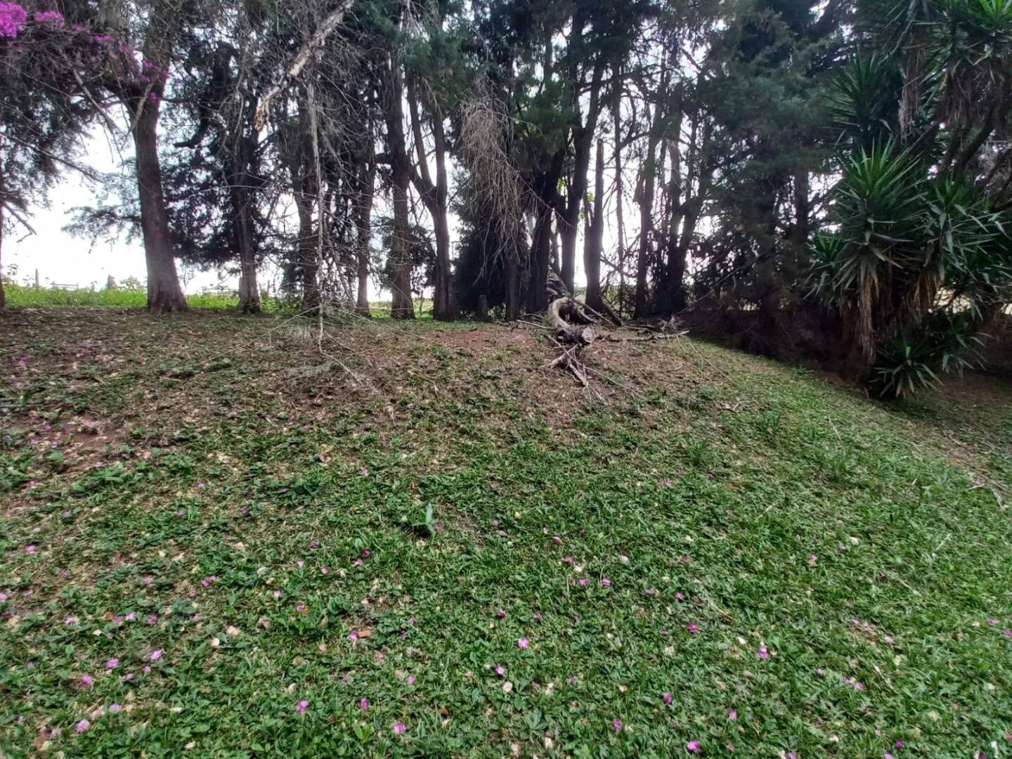 Prédio Inteiro - Foto 8