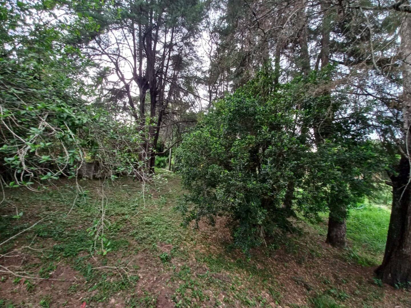 Prédio Inteiro - Foto 10