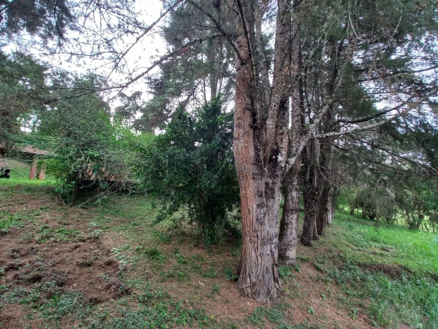 Prédio Inteiro - Foto 12