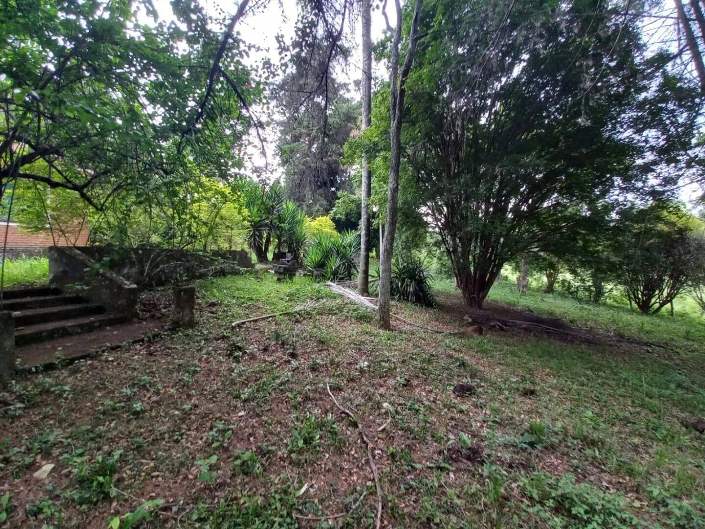 Prédio Inteiro - Foto 13